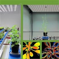 PlantScreen高通量植物表型成像分析平台（传送带版）