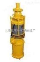 上海供应BQ矿用隔爆型潜水泵
